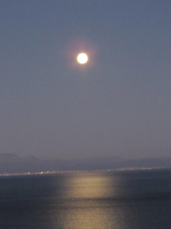 Simonsview Hotel Simon's Town Luaran gambar